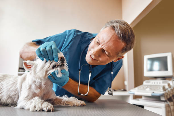 Best Knocked-Out Tooth Emergency  in Keansburg, NJ
